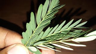 जोड़ों के दर्द व सूजन को दूर करने का बेहतरीन घरेलू नुस्खा || Joints Pain Home Remedy In Hindi ||