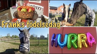 FRANK VLOGGAR