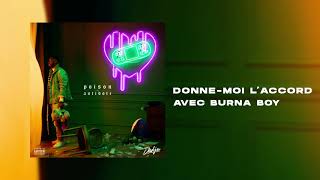 DADJU - Donne-moi l'accord avec BURNA BOY (Audio Officiel)