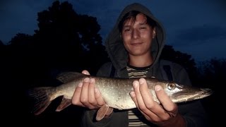 Wieczorny spinning nad Odrą-szczupaki z płytkich główek