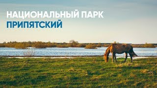 Припятский национальный парк — сафари парк в Беларуси