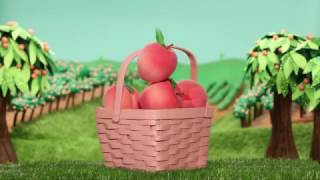 Too Faced Sweet Peach Collection - Papa Don't Peach Blush