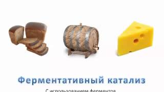 Видеоурок ''Катализаторы и катализ'' - ХИМИЯ - 9 кл.