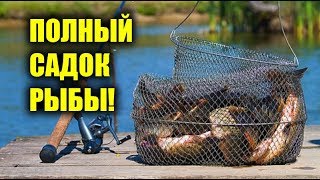 СЕКРЕТЫ АКТИВАТОРА КЛЁВА! Ликвиды, аттрактанты, ароматизаторы, жидкие прикормки