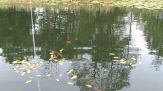 Ловля на кружки.Беларусь.Fishing with rings in Belarus