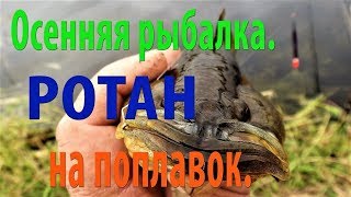 Осенняя рыбалка Ротан на поплавок