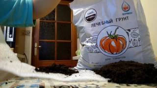 обрезка листьев в улитке по Митлайдеру