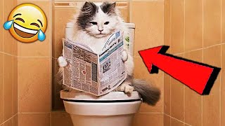 Я РЖАЛ ЦЕЛЫЙ ЧАС!???? СМЕШНЫЕ ЖИВОТНЫЕ!???? ПОПРОБУЙ НЕ ЗАСМЕЙСЯ!????