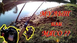 Думай сам мульт или мясо для ультралайта / Что то пошло не так