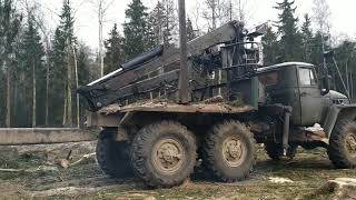 Вот так нужно работать в лесу.  Валка и трелевка леса,,, telling the forest,,, Walz week.