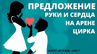ПРЕДЛОЖЕНИЕ НА МАНЕЖЕ ЦИРКА ❤