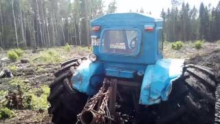 Т-40 на колесах от комбайна делает дорогу по болоту
