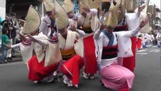 Japanese Traditional Arts "AWA DANCE"