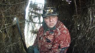 Крик души, такого открытия у меня никогда не было! Весна, открытие 2019