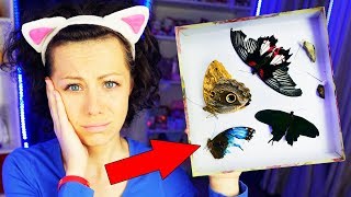 ВСЕ БАБОЧКИ УМЕРЛИ! КЛАДБИЩЕ БАБОЧЕК БУДЕТ ли ещё БАБОЧКАРИЙ? | Magic Family