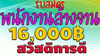 รับสมัคร พนักงานล้างจาน 16000 บาท สวัสดิการดี รับจำนวนจำกัด