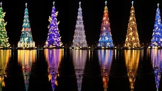САМЫЕ КРАСИВЫЕ И НЕОБЫЧНЫЕ НОВОГОДНИЕ ЕЛКИ