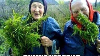 Ржачное видео до слёз)))) СМОТРЕТЬ ВСЕМ