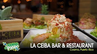 La Ceiba Bar & Restaurant, Coamo, Puerto Rico ??