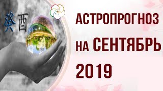 АСТРОПРОГНОЗ НА СЕНТЯБРЬ 2019 ПО БАЦЗЫ| Месяц Водного Петуха 2019 год