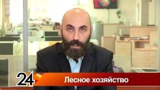 Главные новости - Лесное хозяйство