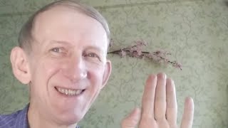 У Меня Исчезли Комментарии! Санкции Америкосов. Что Делать?