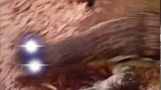 Omae Wa Mou Shindeiru Nani!?! Meme Compilation 2017 #3 (300 Sub Special)