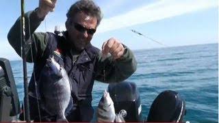 squid ΚΑΘΕΤΗ  ΚΑΛΑΜΑΡΙΑ ΣΚΑΘΑΡΙΑ sotos fishing