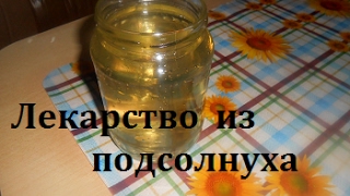 Корень подсолнуха, как сделать отвар.