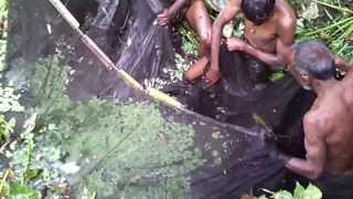 Fishing In Bangladesh Biswanath