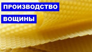 Производство Вощины как бизнес идея