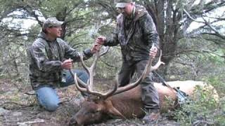 308 Marlin Express Product Overview from Hornady®