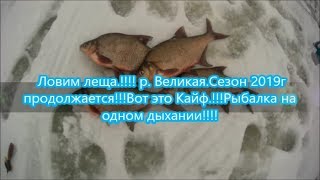 Ловим леща !!!! р.  Великая. Сезон 2019г продолжается!!!Вот это Кайф !!!Рыбалка на одном дыхании!!!!