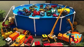 BRUDER TOYS Traktor Truck POOL PARTY | Kids Videos | Learn video