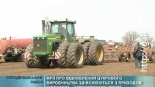 Відродження виробництва цукру