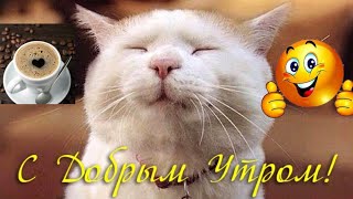 Доброе утро! Чудесного дня! Лучшее пожелание ?