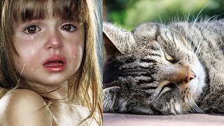 САМЫЙ ГРУСТНЫЙ РОЛИК НА СВЕТЕ.? НЕНУЖНЫЙ КОТ?. СТИХ