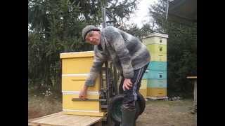 Один из вариантов универсальной пасечной тележки-подъемника для промышленных пасек на базе Апилифта.