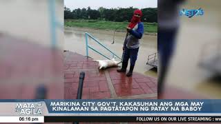 Marikina city gov't, kakasuhan ang mga nagtapon ng patay na baboy sa Marikina River