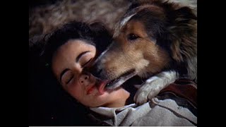 Bestiality & Zoophilia narration - Lifestyle or Disorder Natureboy?