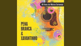 Vento Violeiro
