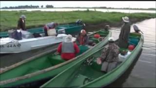 Рыбалка в дельте волги в августе