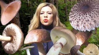 Ночёвка в лесу. Поход за грибами. Спалила волосы у костра!