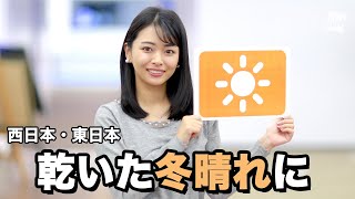 お天気キャスター解説 12月8日(火)の天気