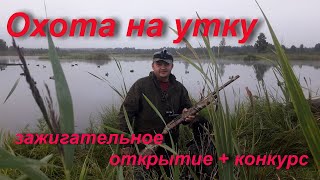 №55 Крутое Открытие охоты на утку 2019г. + КОНКУРС