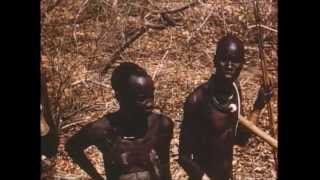 Yellow Fever in the Sudan [Silent] (Telford Work, 1954)