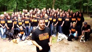 Hundetraining mit Martin Rütter DOGS Hundeschulen - "Sitz"