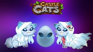 Мастерм Белое Яйцо в Castle Cats #78