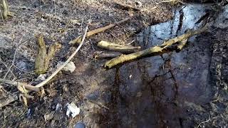 Чистая вода для Темерника