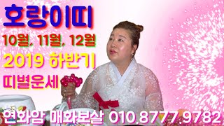 [연화암][매화보살][안산용한점집][선부동용한무당] 2019 하반기 범띠운세 양력 10월, 11월, 12월